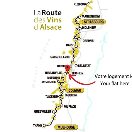 En Duplex Climatises 3 Et 4 Personnes - Route Des Vins - Centre Alsace