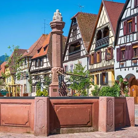 Duplex 3 Et 4 Personnes Confort - Climatisation - Route Des Vins - Centre Alsace Appartement Bergheim