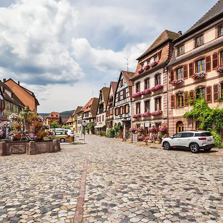 Duplex Des Vins: Medieval Village Retreat In Alsace Apartment Bergheim