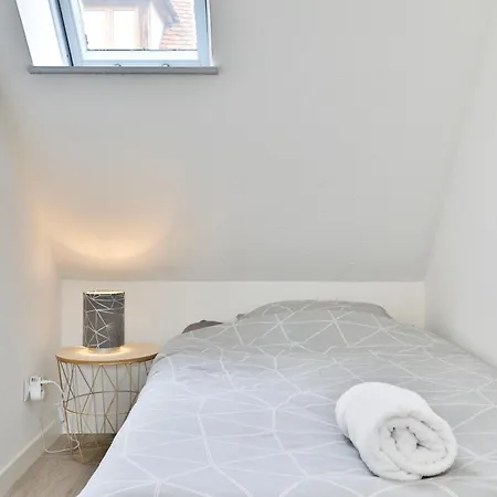 Duplex 3 Et 4 Personnes Confort - Climatisation - Route Des Vins - Centre Alsace Appartement