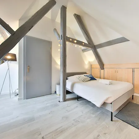 Duplex 3 Et 4 Personnes Confort - Climatisation - Route Des Vins - Centre Alsace