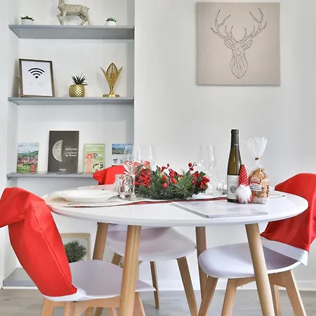 Duplex 3 Et 4 Personnes Confort - Climatisation - Route Des Vins - Centre Alsace *