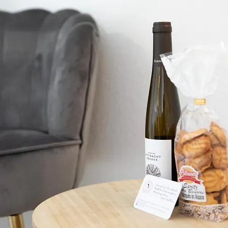 Apartament Duplex 3 Et 4 Personnes - Proche Marches De Noel - Route Des Vins - Centre Alsace *