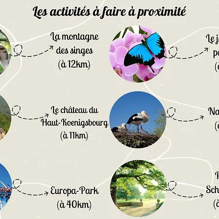 Duplex 3 Et 4 Personnes Confort - Climatisation - Route Des Vins - Centre Alsace *