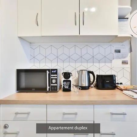 Duplex 3 Et 4 Personnes Confort - Climatisation - Route Des Vins - Centre Alsace Daire *