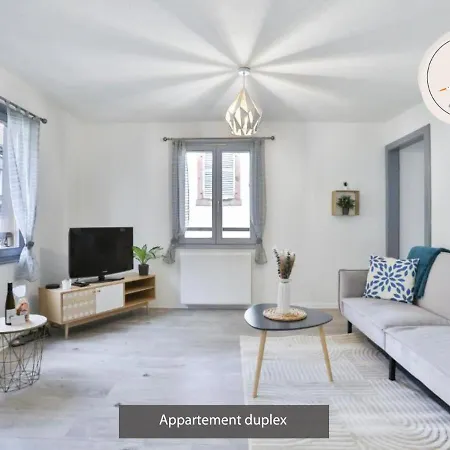 Duplex 3 Et 4 Personnes Confort - Climatisation - Route Des Vins - Centre Alsace Daire Bergheim
