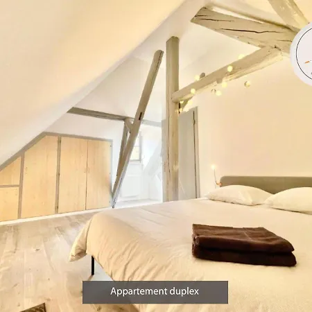 Duplex 3 Et 4 Personnes - Proche Marches De Noel - Route Des Vins - Centre Alsace * Bergheim