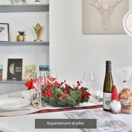 Duplex 3 Et 4 Personnes Confort - Climatisation - Route Des Vins - Centre Alsace
