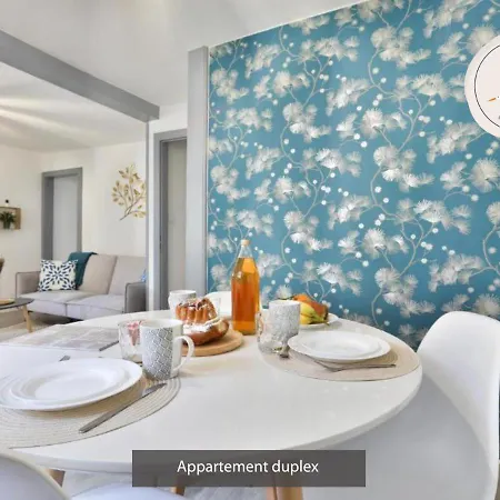Daire Duplex 3 Et 4 Personnes Confort - Climatisation - Route Des Vins - Centre Alsace