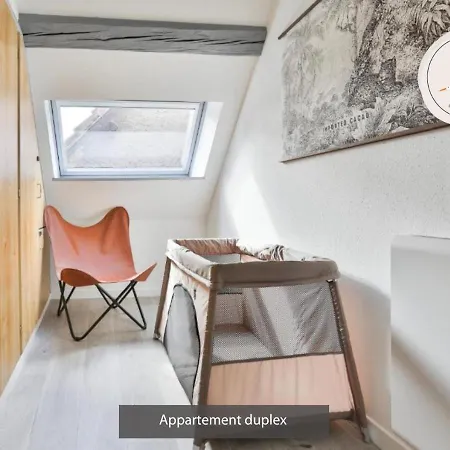 Duplex 3 Et 4 Personnes Confort - Climatisation - Route Des Vins - Centre Alsace