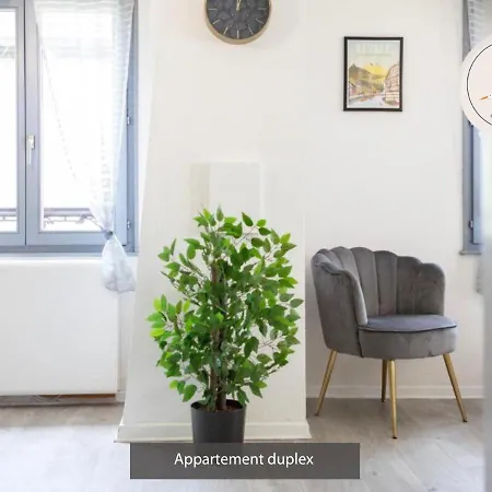 Duplex 3 Et 4 Personnes Confort - Climatisation - Route Des Vins - Centre Alsace Daire *