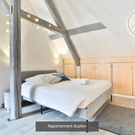Duplex 3 Et 4 Personnes Confort - Climatisation - Route Des Vins - Centre Alsace Daire Bergheim