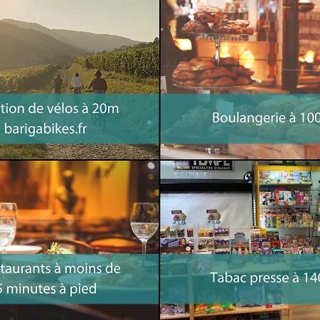 Duplex 3 Et 4 Personnes Confort - Climatisation - Route Des Vins - Centre Alsace