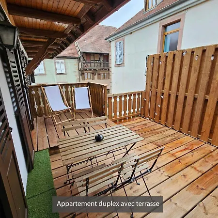 Duplex 3 Et 4 Personnes - Proche Marches De Noel - Route Des Vins - Centre Alsace *