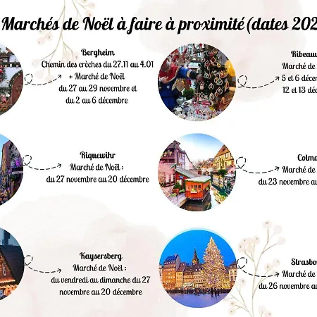 Appartements en duplex 3 et 4 personnes - Route des Vins - Centre Alsace - Proche Marchés de Noël